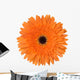 Orange Gerbera Flower