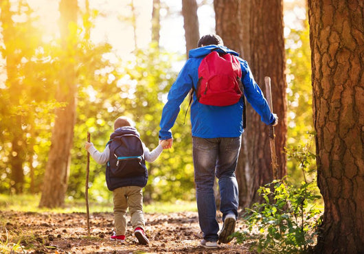 Father and son walking in autumn forest Wall Mural