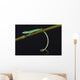 Emerald grass lizard / Takydromus smargadinus Wall Mural