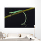 Emerald grass lizard / Takydromus smargadinus Wall Mural