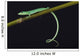 Emerald grass lizard / Takydromus smargadinus Wall Mural