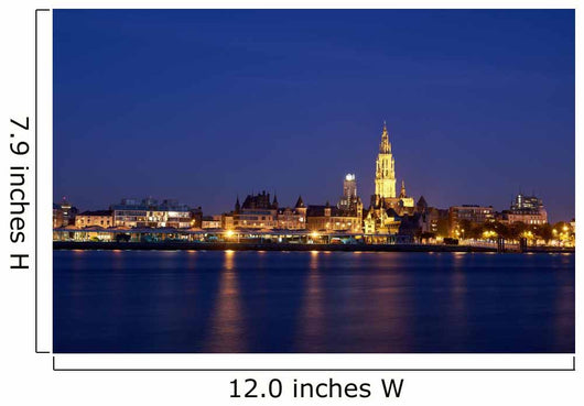 Night view over City of Antwerp Wall Mural