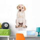 adorable yellow labrador retriever puppy Wall Decal