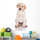 adorable yellow labrador retriever puppy Wall Decal