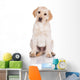 adorable yellow labrador retriever puppy Wall Decal