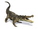 Kaprosuchus Wall Decal