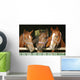 Warm blood purebred mares looking over the barn door Wall Mural