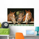 Warm blood purebred mares looking over the barn door Wall Mural