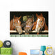 Warm blood purebred mares looking over the barn door Wall Mural