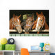 Warm blood purebred mares looking over the barn door Wall Mural
