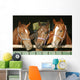 Warm blood purebred mares looking over the barn door Wall Mural
