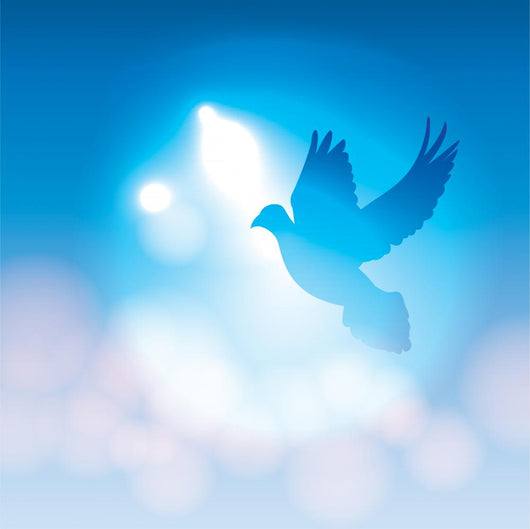Illustrated Dove Silhouette and Soft Bokeh Lights Wall Mural