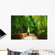 A small road through the bamboo forest. Wall Mural