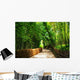 A small road through the bamboo forest. Wall Mural