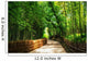 A small road through the bamboo forest. Wall Mural