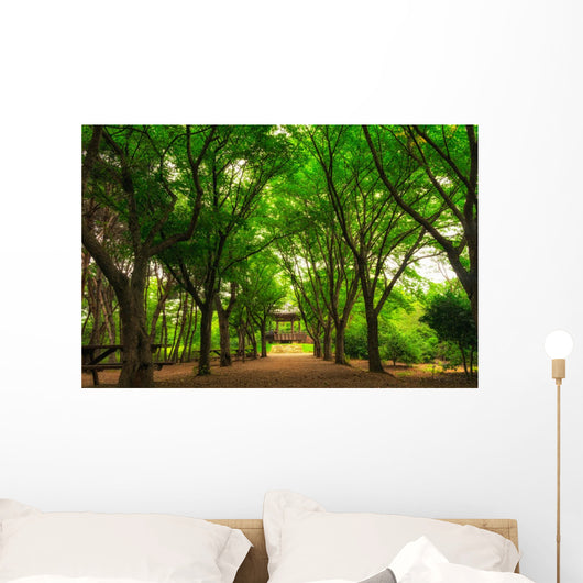 A small community park in south korea during summer season. Wall Mural