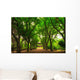 A small community park in south korea during summer season. Wall Mural