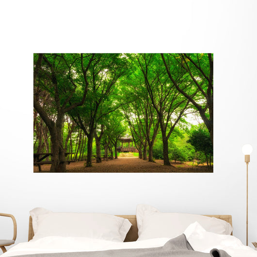 A small community park in south korea during summer season. Wall Mural