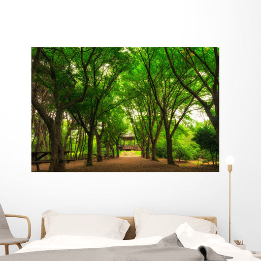 A small community park in south korea during summer season. Wall Mural