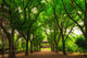 A small community park in south korea during summer season. Wall Mural