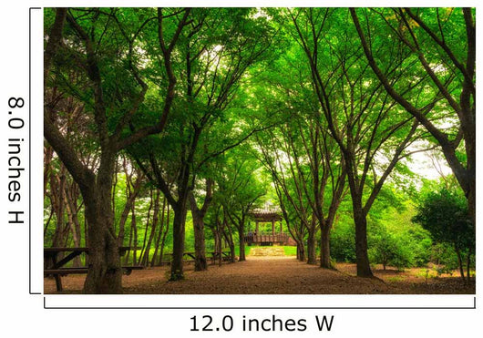 A small community park in south korea during summer season. Wall Mural