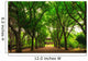 A small community park in south korea during summer season. Wall Mural