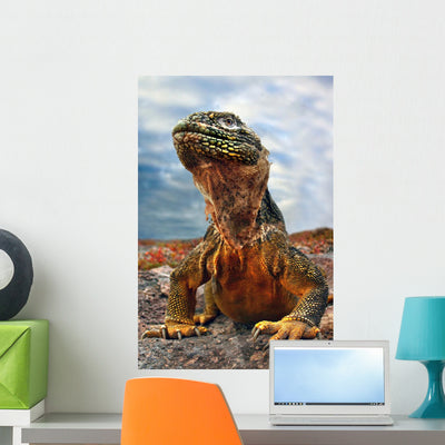 Galapagos Iguana Wall Mural shown on a wall