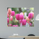 Spring Tulips