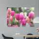 Spring Tulips