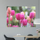 Spring Tulips