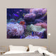 mini sea in fish tank Wall Mural