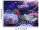 mini sea in fish tank Wall Mural