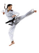 female karate fighter Wall Decal