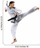 female karate fighter Wall Decal