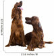 Two Irish Setters
