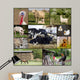 Domestic animals Wall Mural