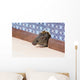 Common house mouse  looks out from a mink in the wall Wall Mural