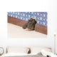 Common house mouse  looks out from a mink in the wall Wall Mural