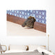 Common house mouse  looks out from a mink in the wall Wall Mural