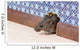 Common house mouse  looks out from a mink in the wall Wall Mural