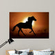 Silhouette of a horse in sunset Wall Mural