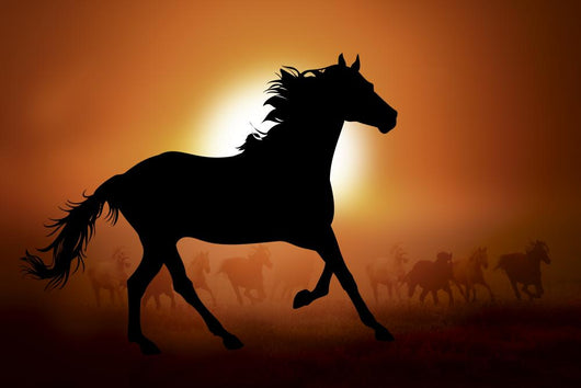 Silhouette of a horse in sunset Wall Mural