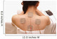 Asian woman is doing massage of electrical -stimulation ( TENs ) Wall Mural