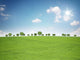Landschaft mit Sonne Wall Mural