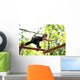 woman climbing in adventure rope park in safety equipment Wall Mural