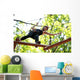 woman climbing in adventure rope park in safety equipment Wall Mural