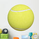 Tennis Ball