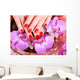 manicure pedicure, female hands, feet Wall Mural