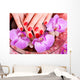 manicure pedicure, female hands, feet Wall Mural
