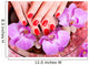 manicure pedicure, female hands, feet Wall Mural
